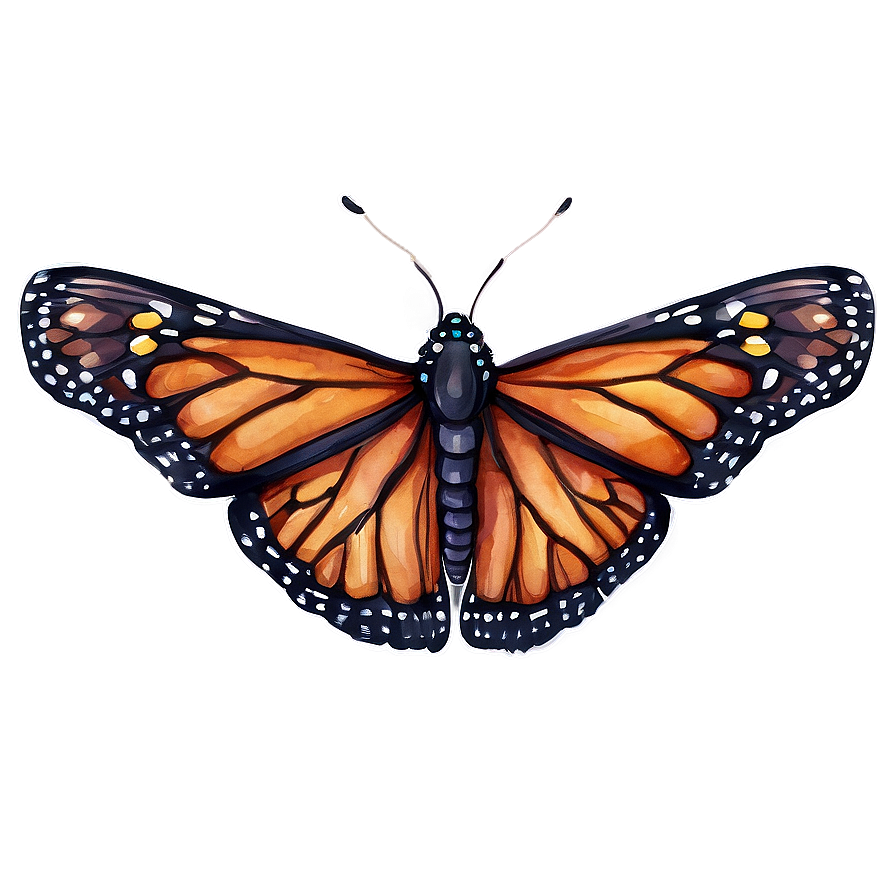 Watercolor Monarch Butterfly Png Lbu PNG Image