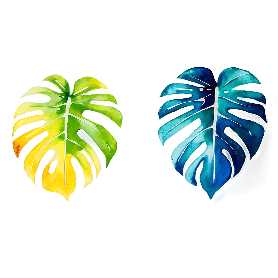 Watercolor Monstera Leaf Png 05232024 PNG Image