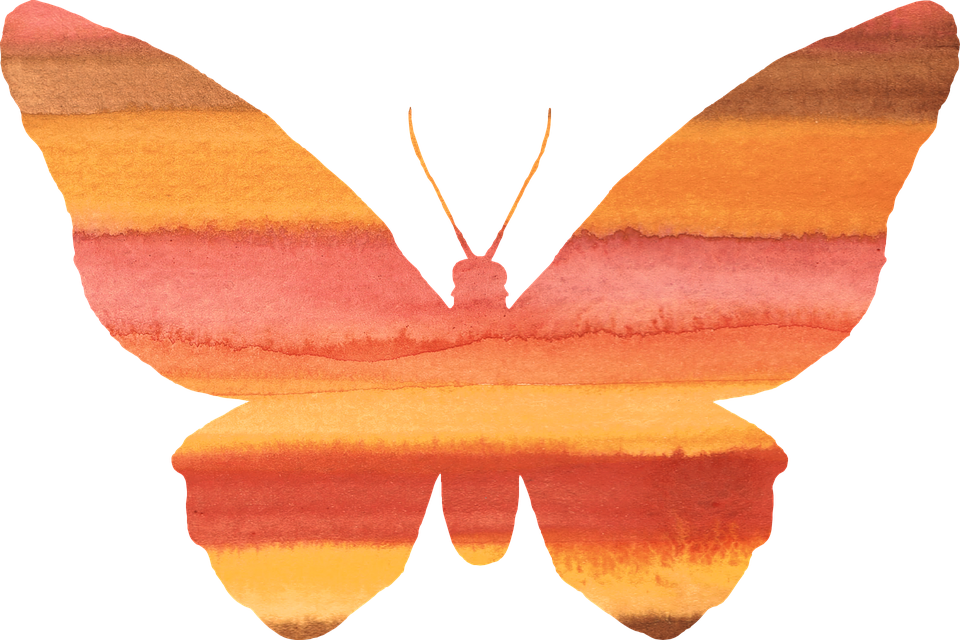 Watercolor Orange Butterfly PNG Image