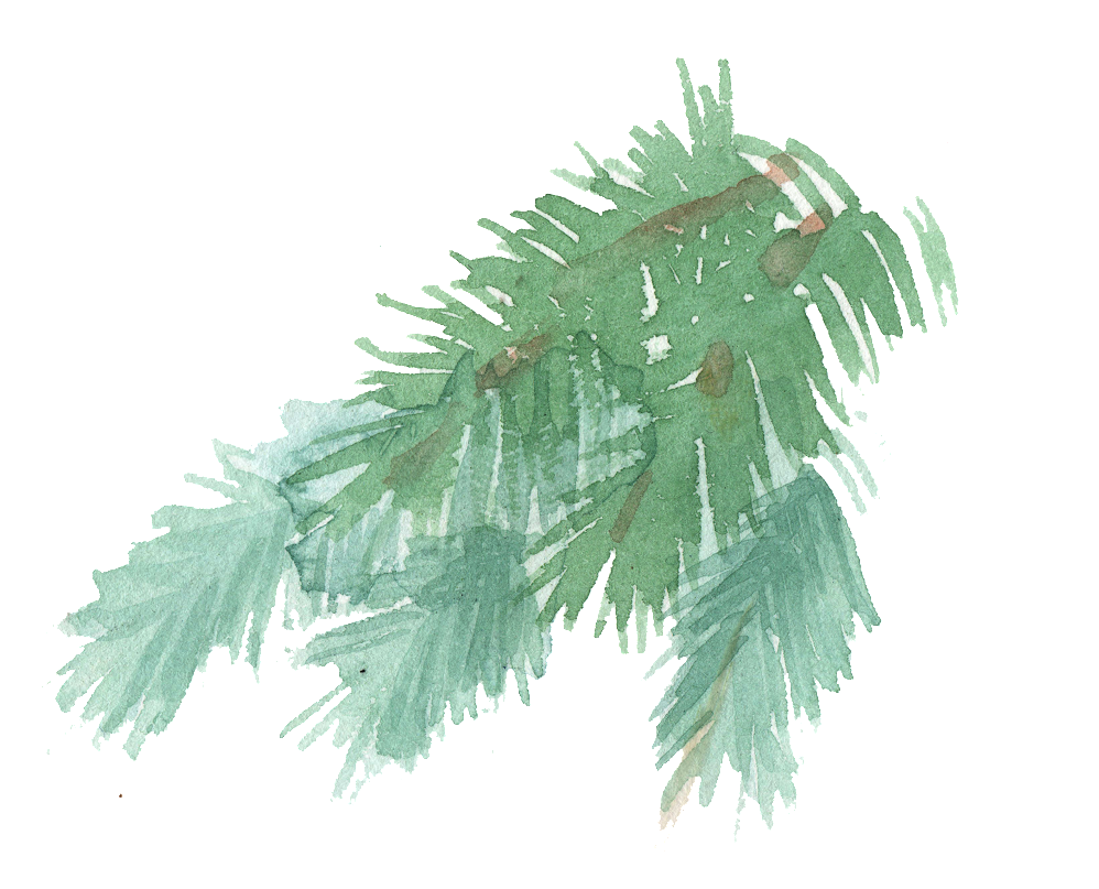 Watercolor Palm Leaves Illustration PNG Image