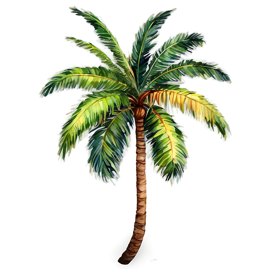 Watercolor Palm Tree Png Frt PNG Image