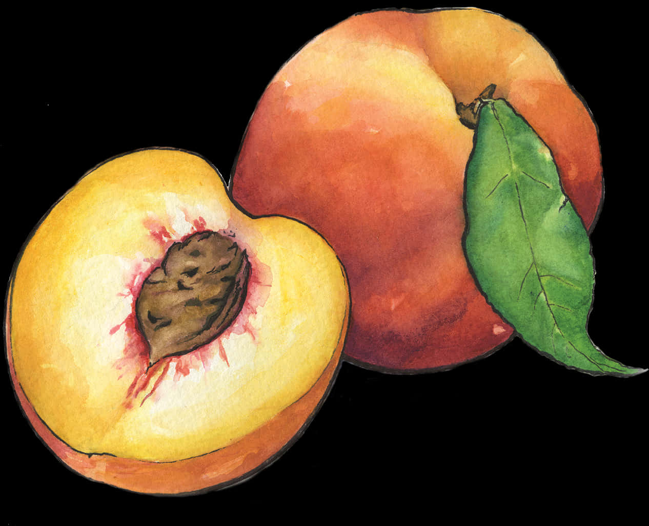 Watercolor Peaches Artwork PNG Image