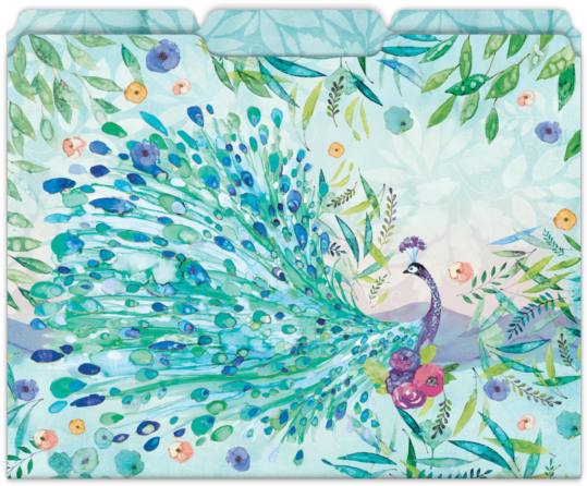 Watercolor Peacock Artwork PNG Image