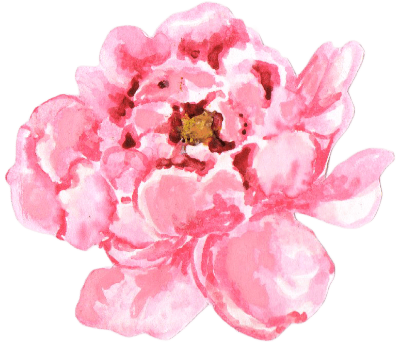 Watercolor Peony Artwork PNG Image