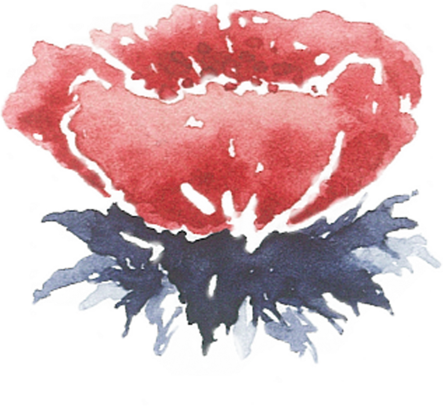 Watercolor Peony Artwork PNG Image