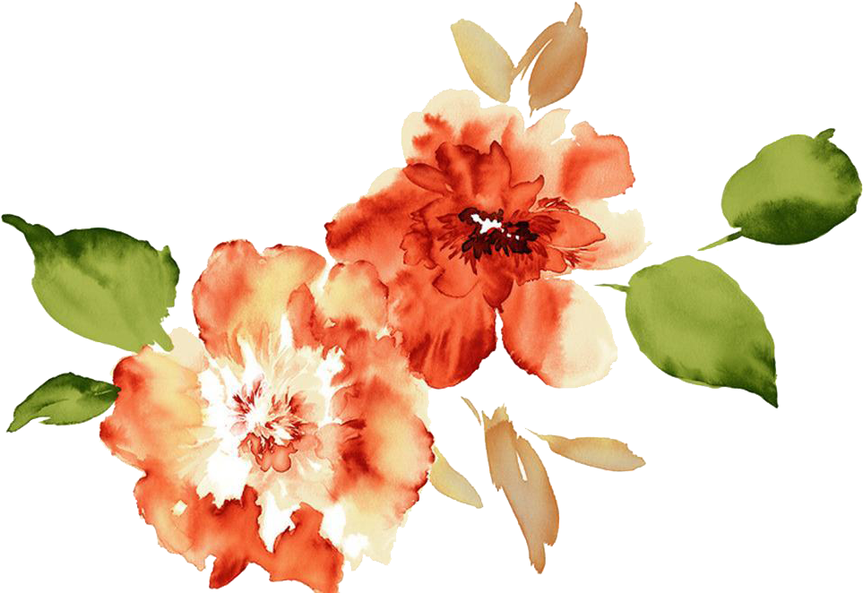 Watercolor Peony Floral Arrangement PNG Image