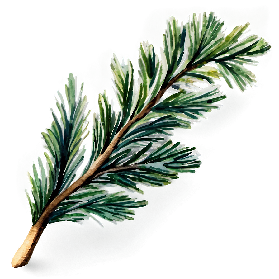 Watercolor Pine Branch Png 06132024 PNG Image