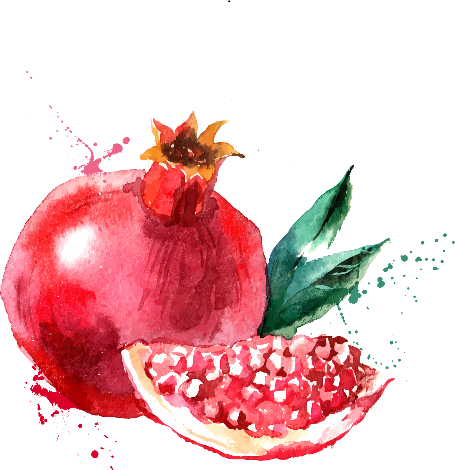 Watercolor Pomegranate Artwork PNG Image