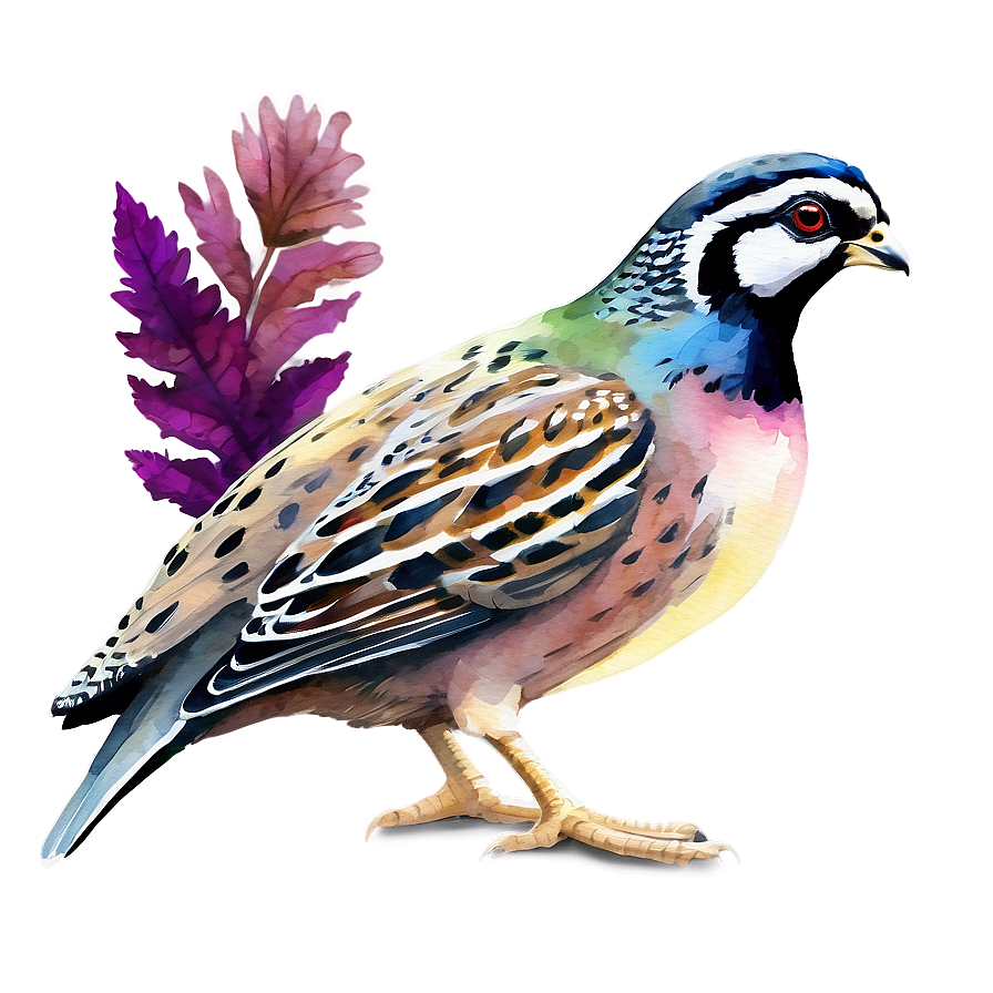 Watercolor Quail Scene Png Wsb PNG Image