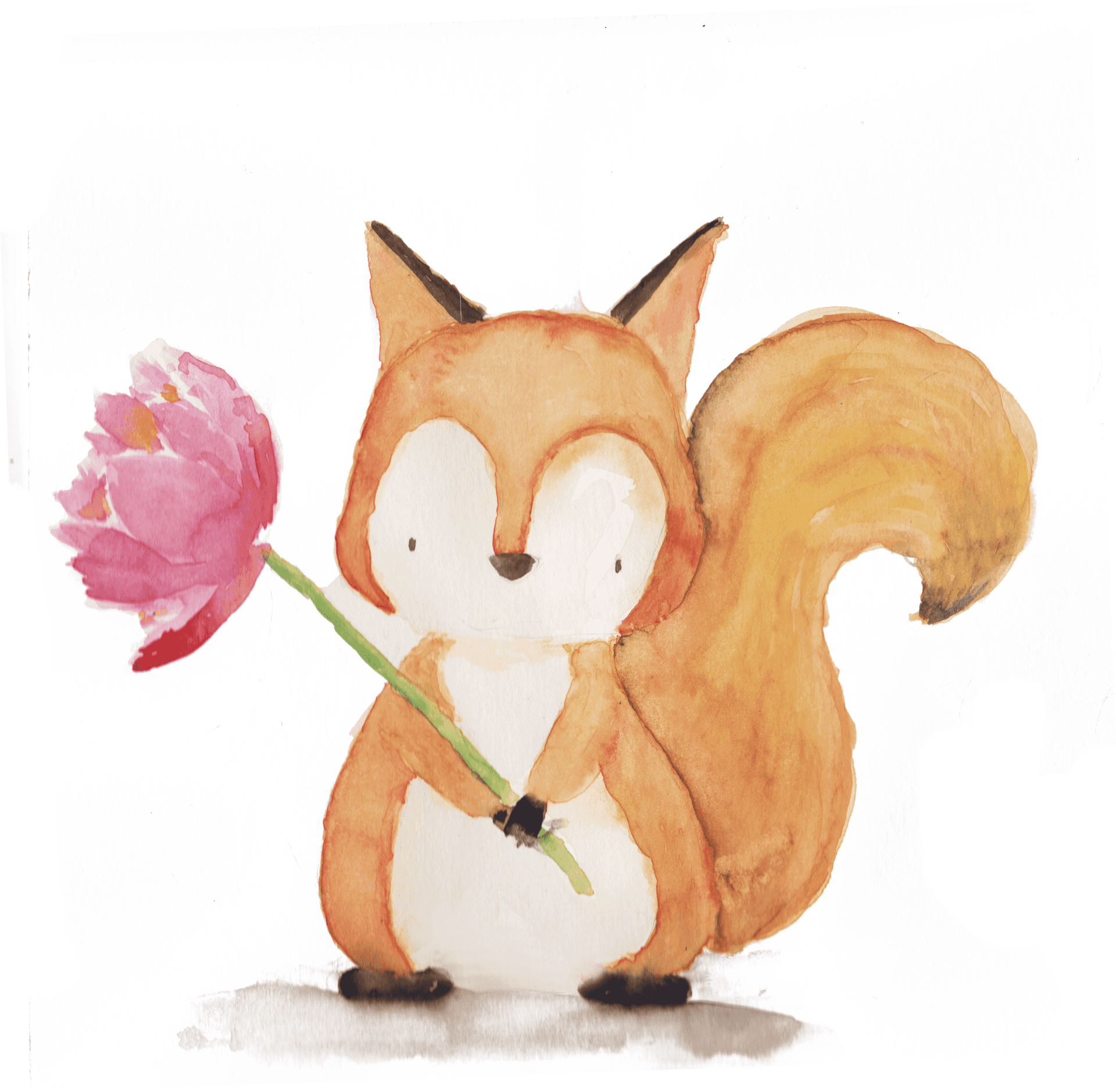 Watercolor Squirrelwith Flower PNG Image