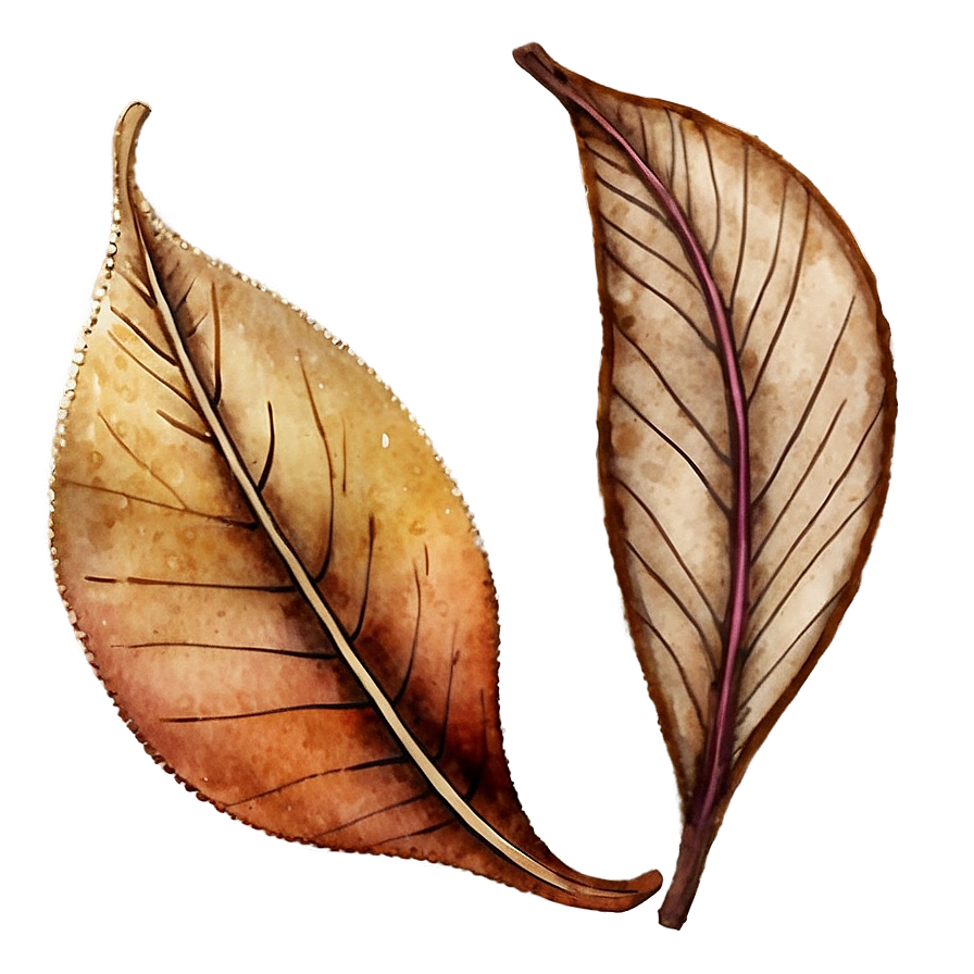 Watercolor Style Fallen Leaves Png 35 PNG Image