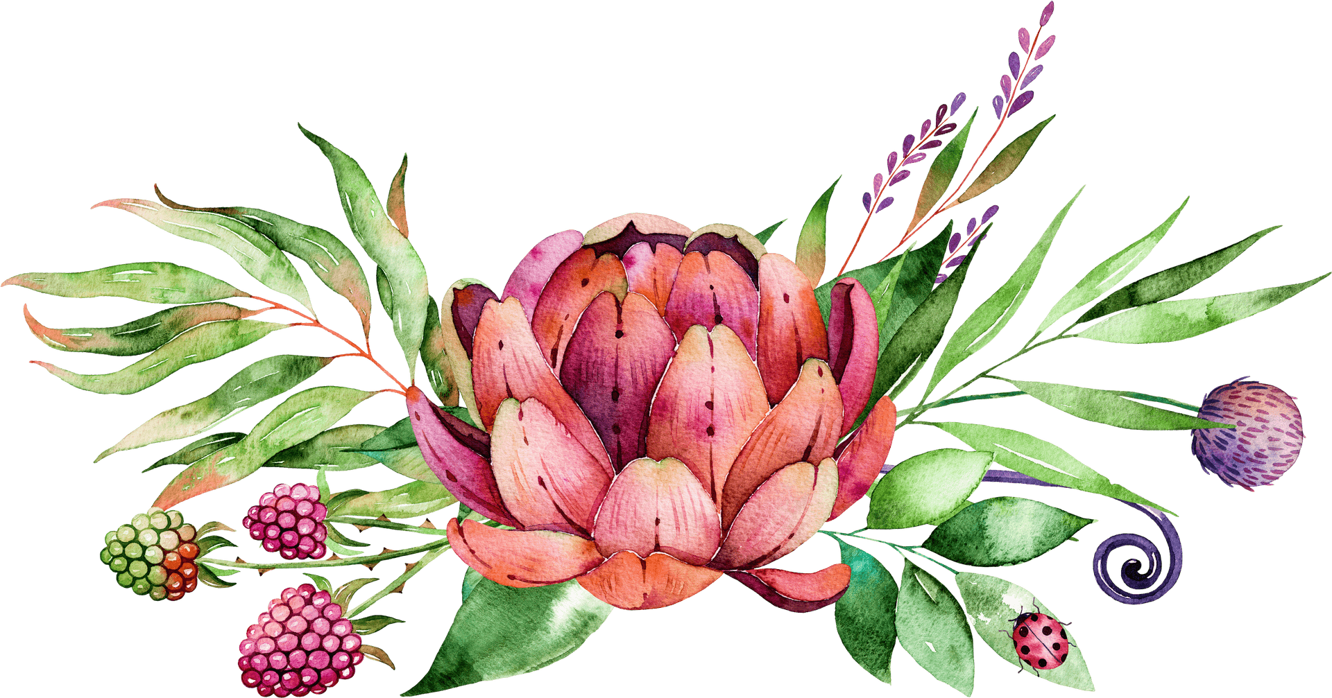 Watercolor Succulent Bouquet PNG Image