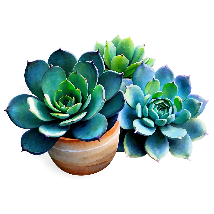 Watercolor Succulents Art Png Fjg PNG Image