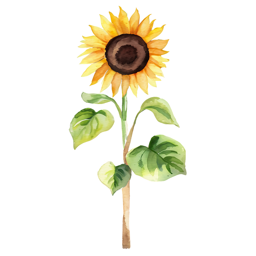 Watercolor Sunflower Png Ccn PNG Image