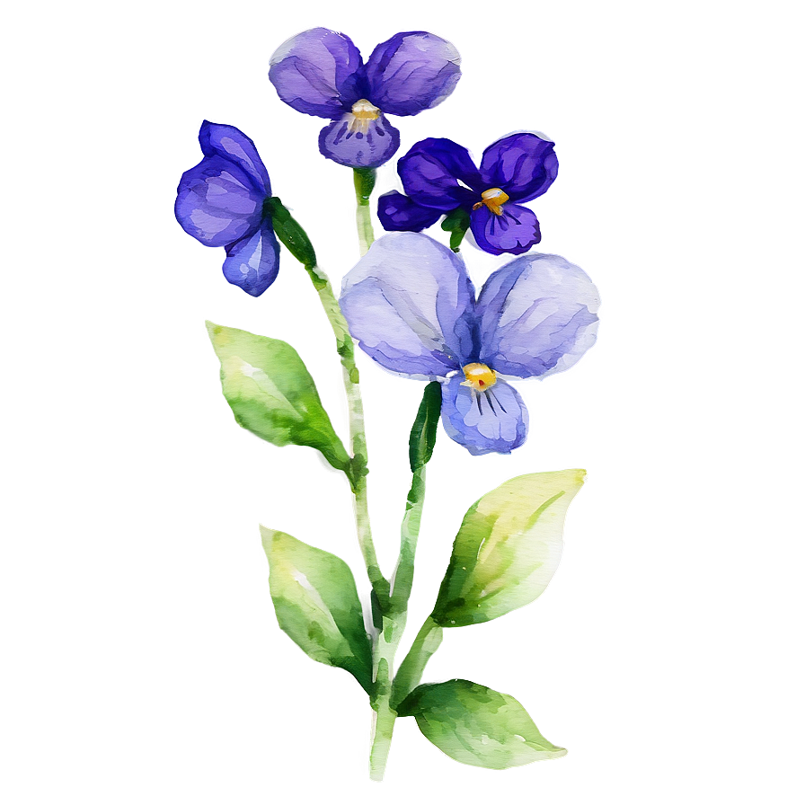 Watercolor Violet Flowers Png 05252024 PNG Image