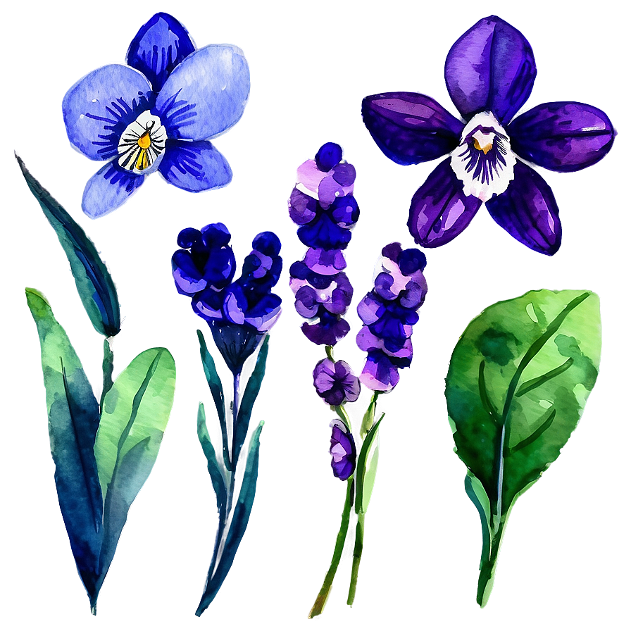 Watercolor Violet Flowers Png 65 PNG Image