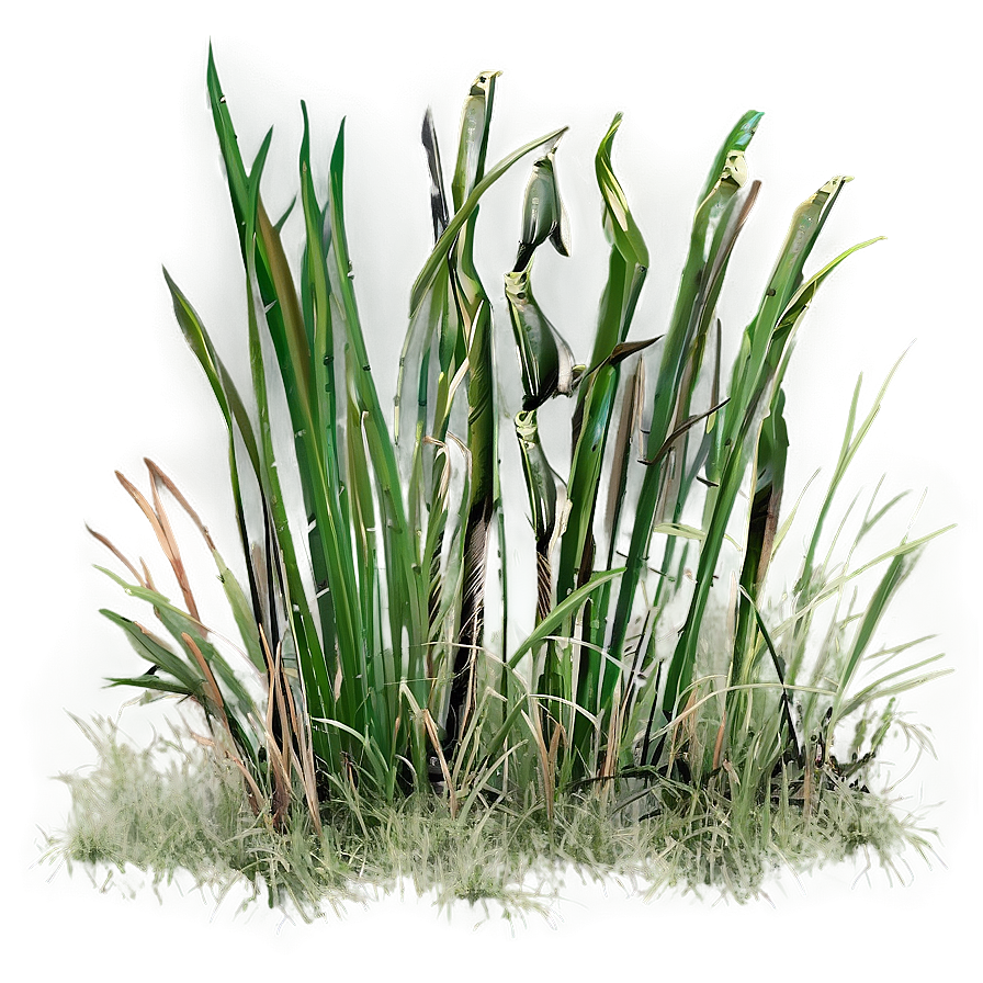 Weathered Grass Png 17 PNG Image