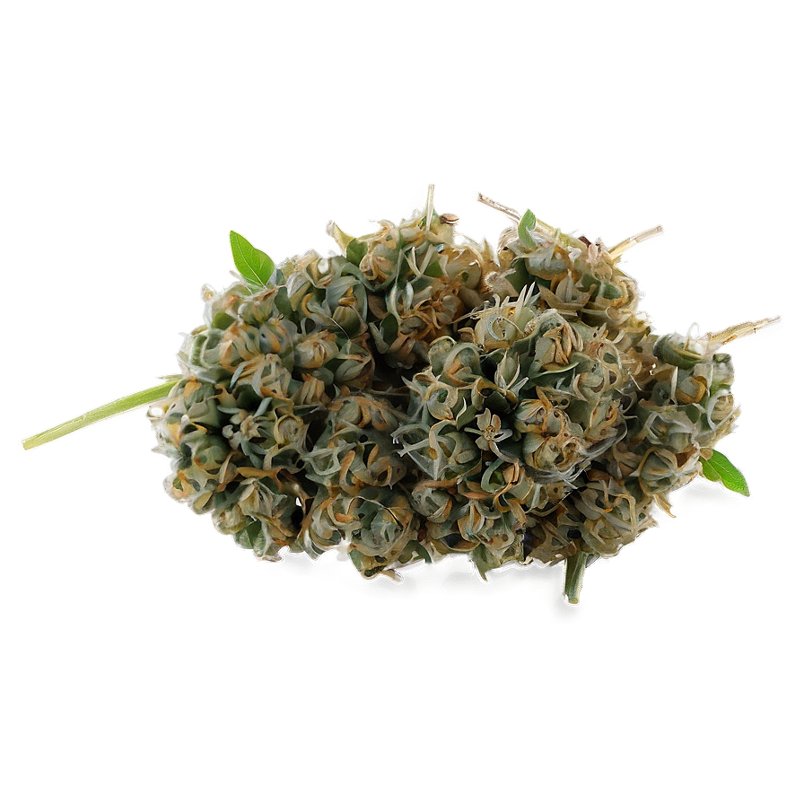 Weed A PNG Image