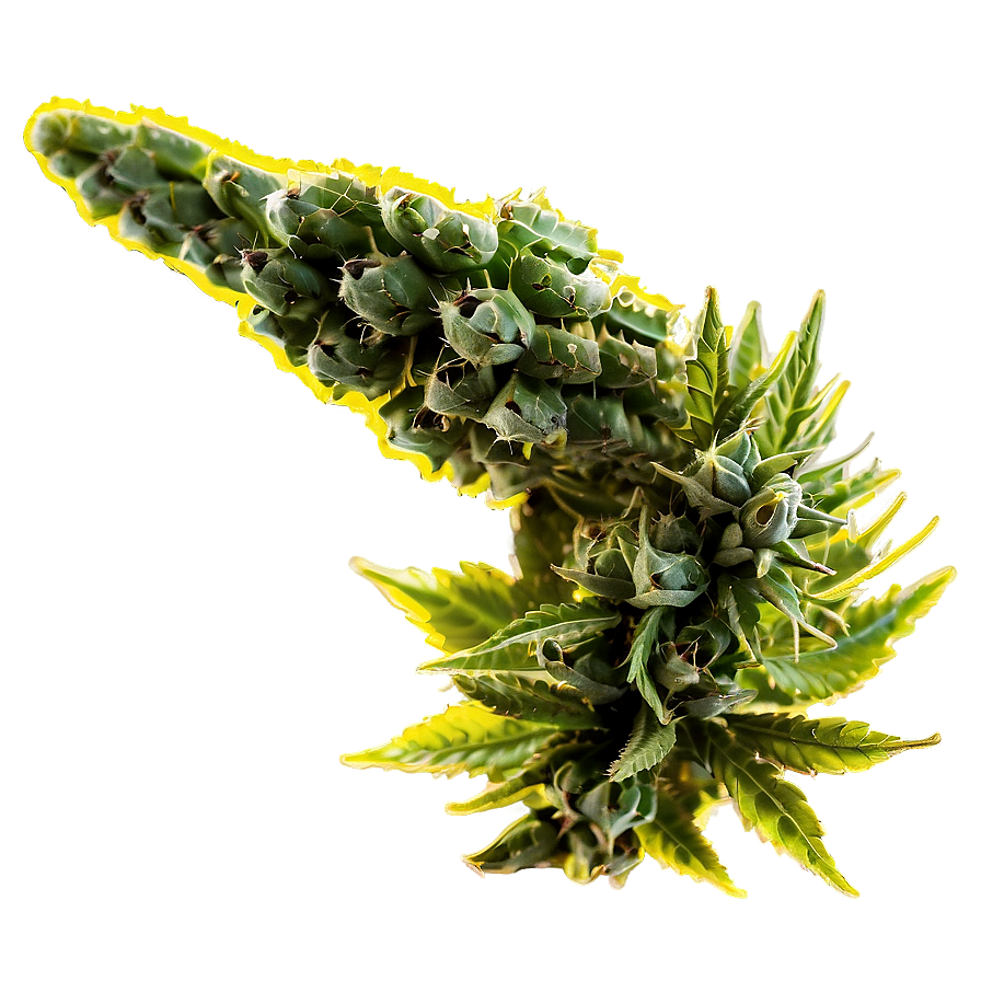 Weed D PNG Image