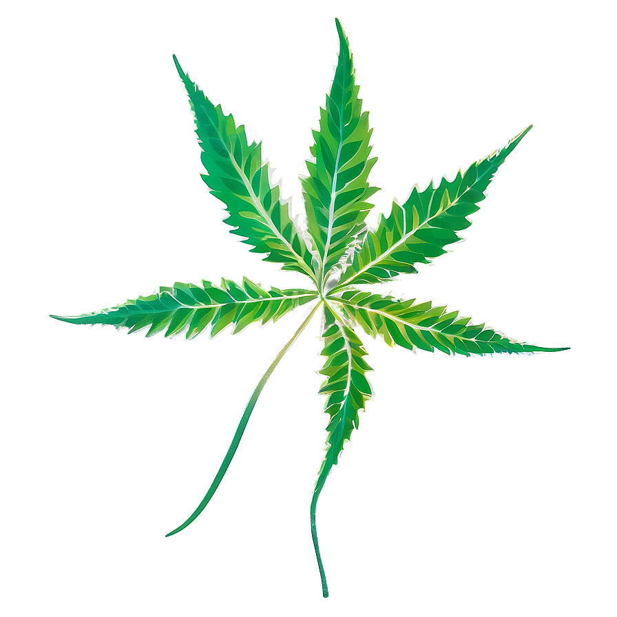 Weed Leaf Png 05032024 PNG Image