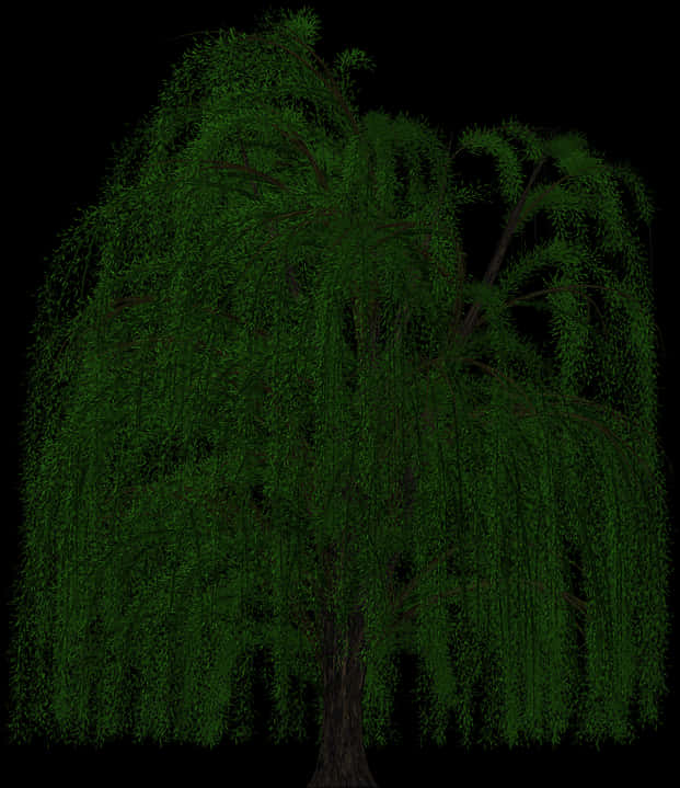 Weeping Willowat Night PNG Image