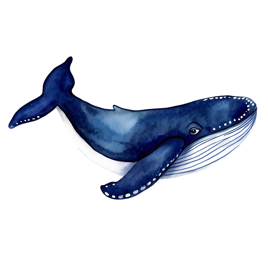 Whale Watercolor Png Qdu PNG Image