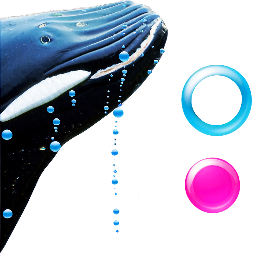 Whale With Bubbles Png Mrc91 PNG Image