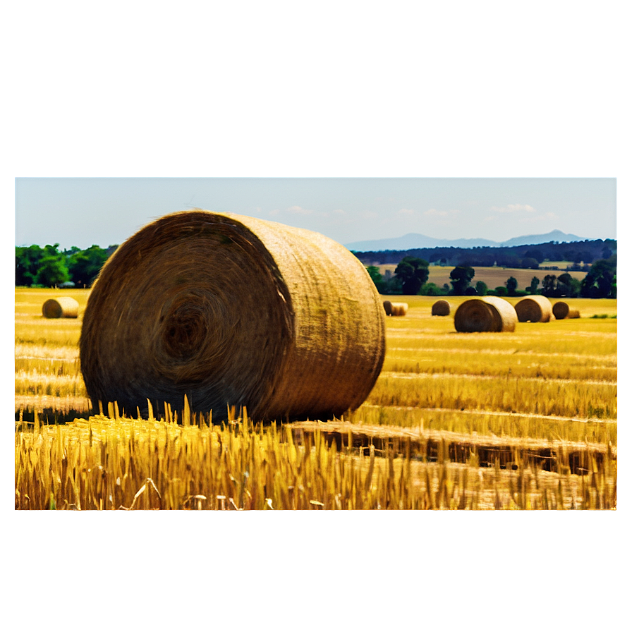 Wheat Field Bales Harvest Png Spo69 PNG Image