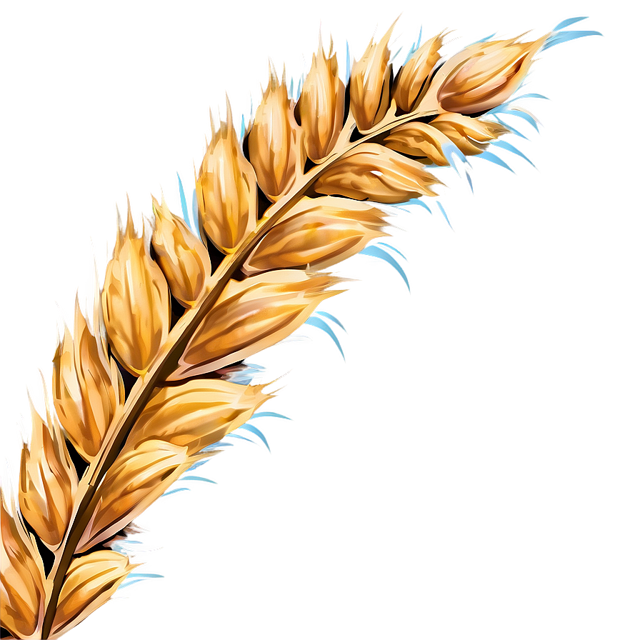 Wheat Field Under Blue Sky Png Khw90 PNG Image