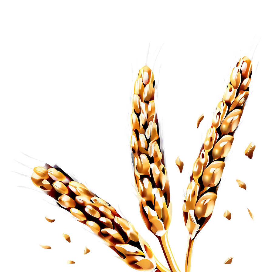 Wheat Grain Close-up Png 53 PNG Image