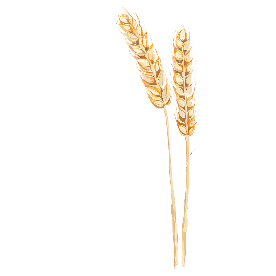 Wheat In A Gentle Breeze Png Dan PNG Image