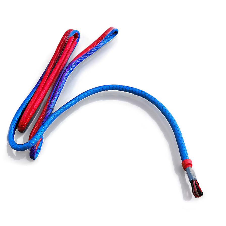 Whip For Discipline Png 37 PNG Image