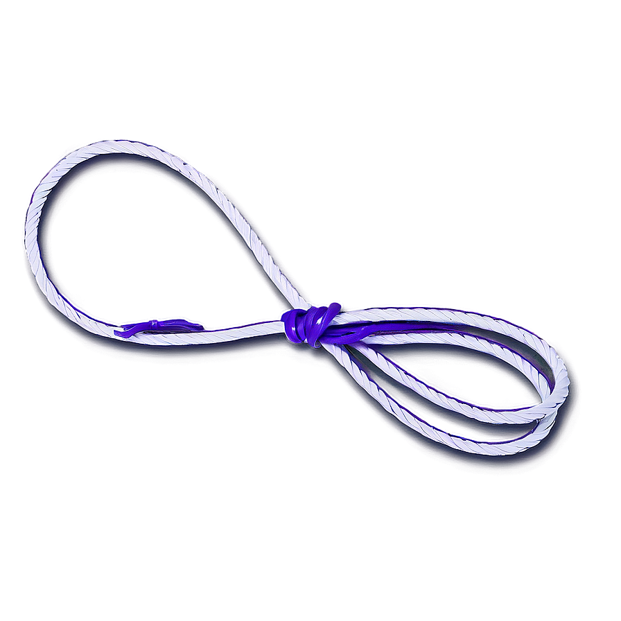 Whip For Show Png 36 PNG Image