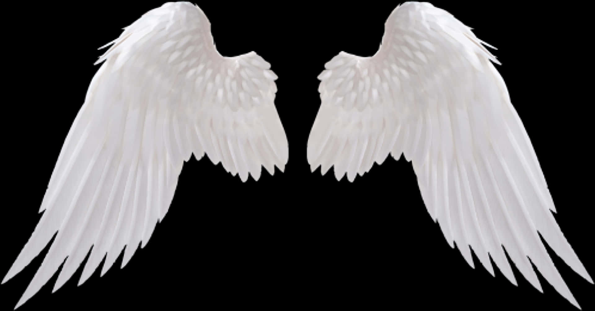 White Angel Wings Black Background PNG Image