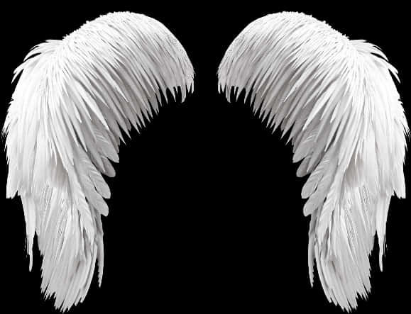 White Angel Wings Black Background PNG Image