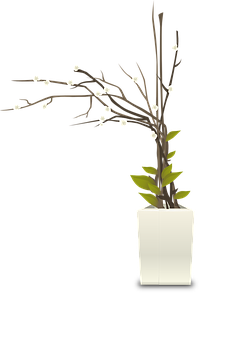 White Blossomed Branchin Vase PNG Image