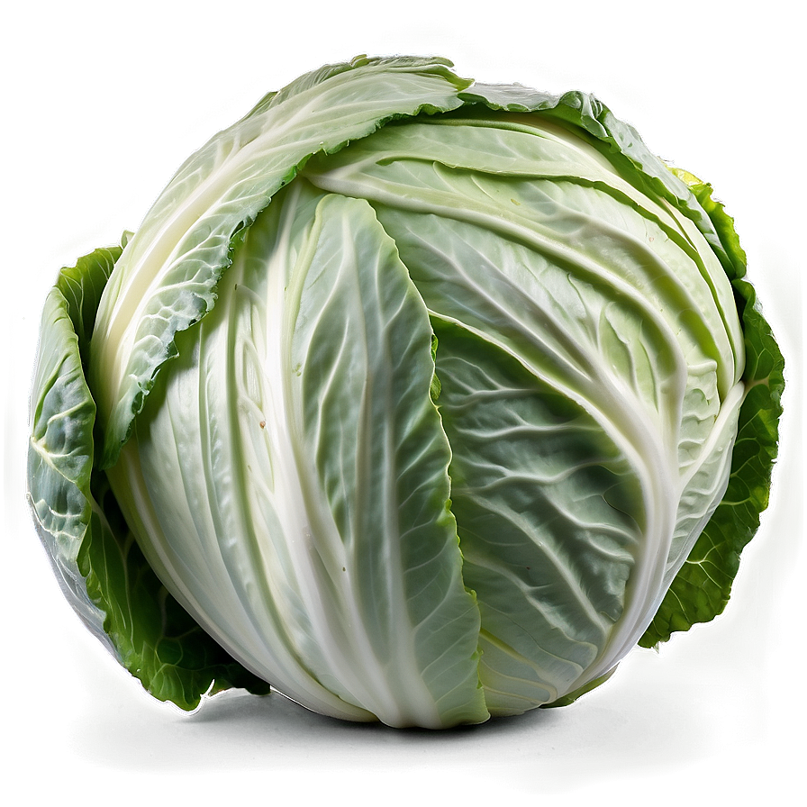 White Cabbage Png 06122024 PNG Image