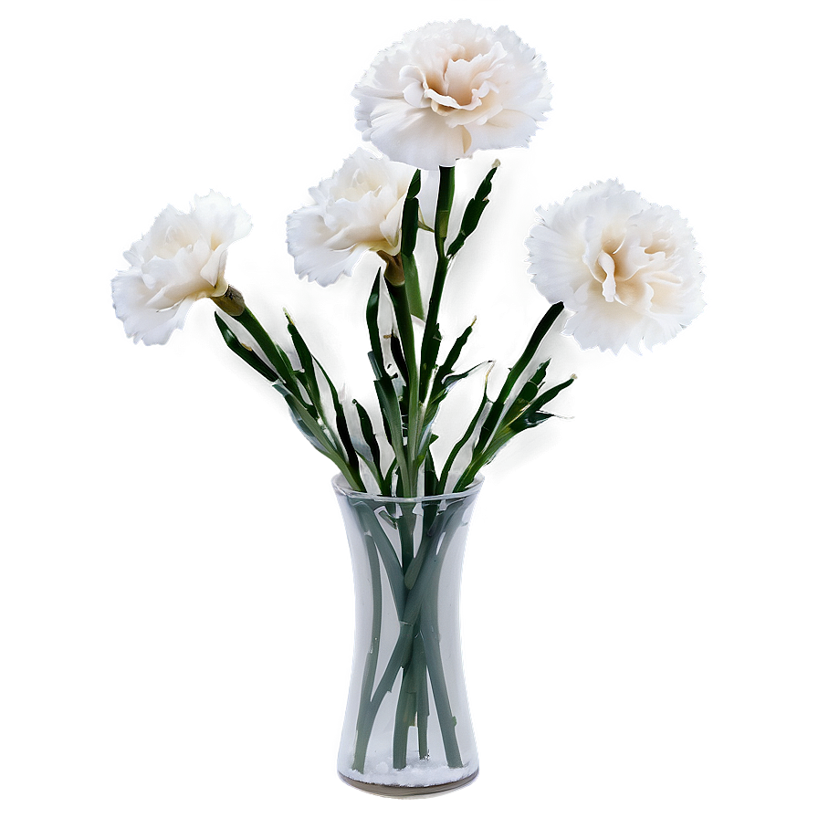 White Carnations Flowers Png Ohw PNG Image