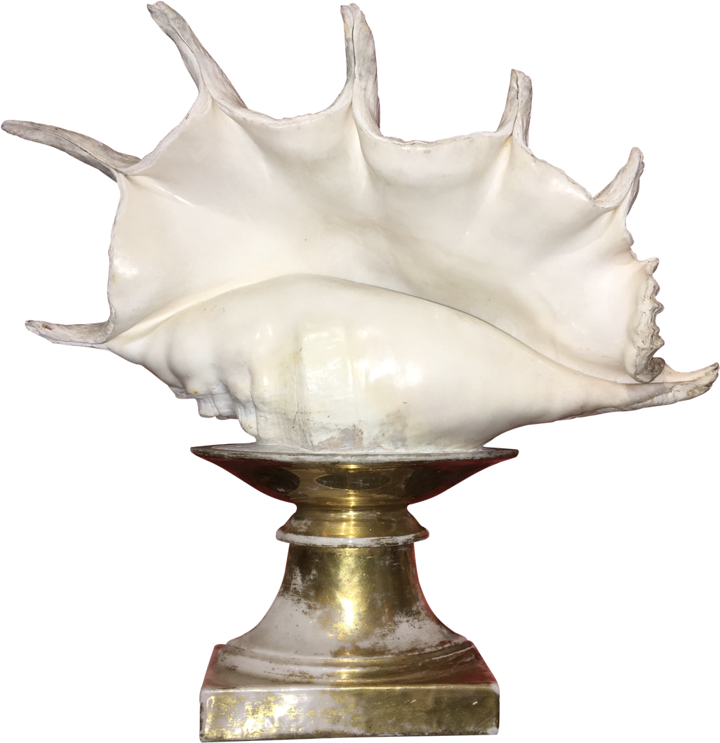 White Conchon Pedestal PNG Image