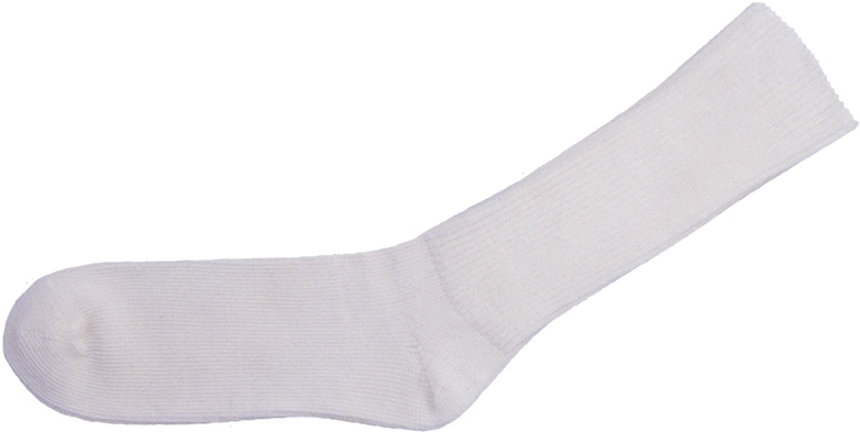 White Crew Sock Isolated PNG Image