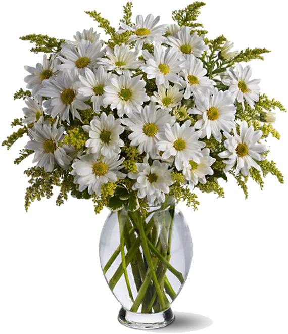 White Daisiesin Glass Vase PNG Image