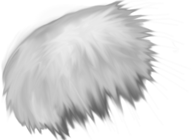 White Feather Drawing Artwork PNG Image