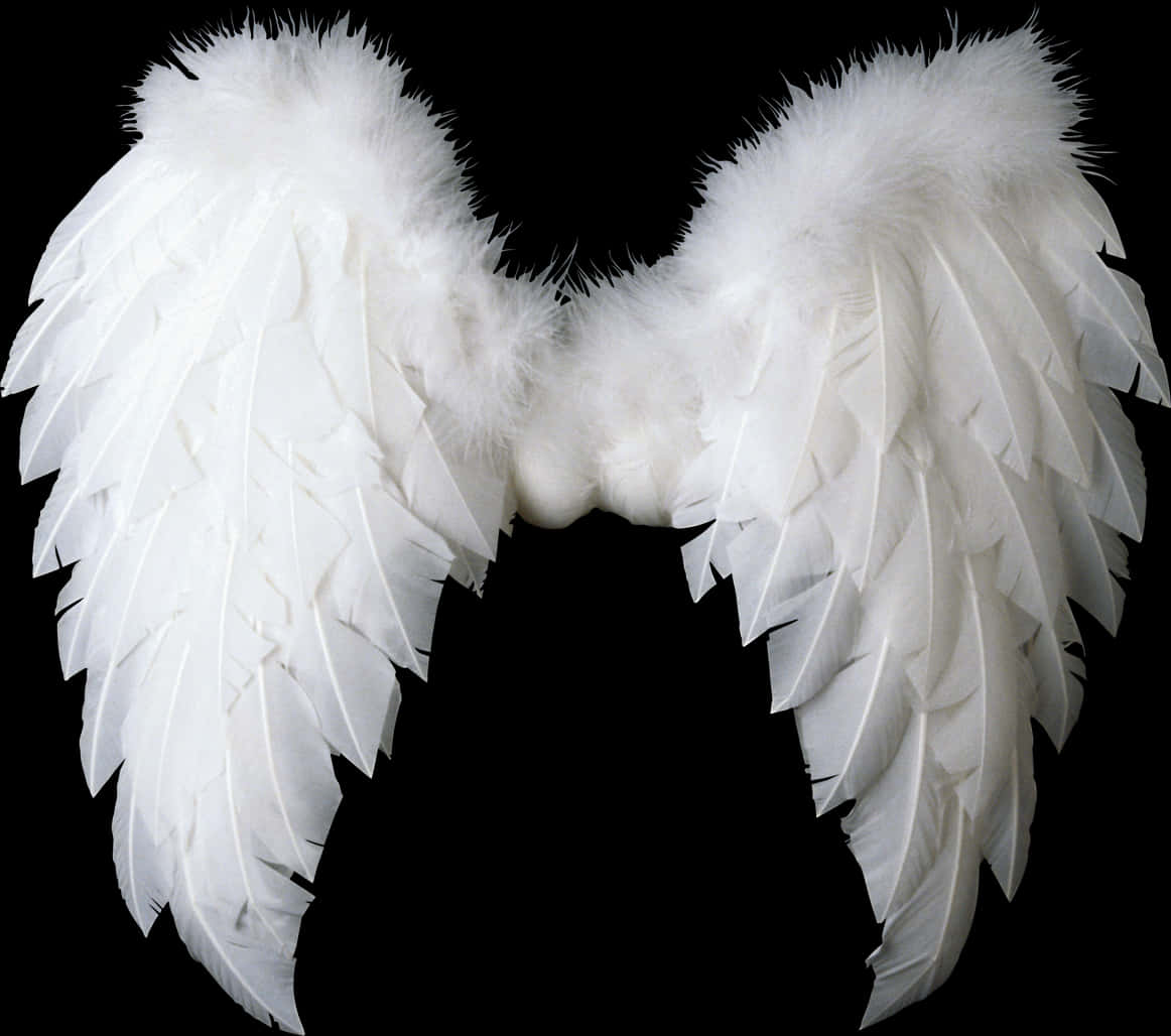 White Feathered Angel Wings Isolated PNG Image