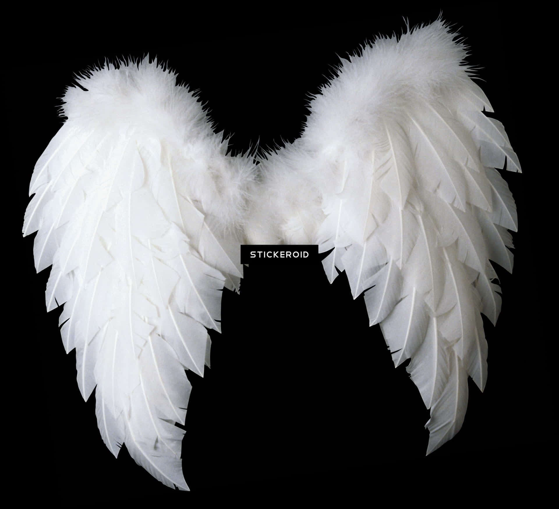 White Feathered Angel Wings PNG Image