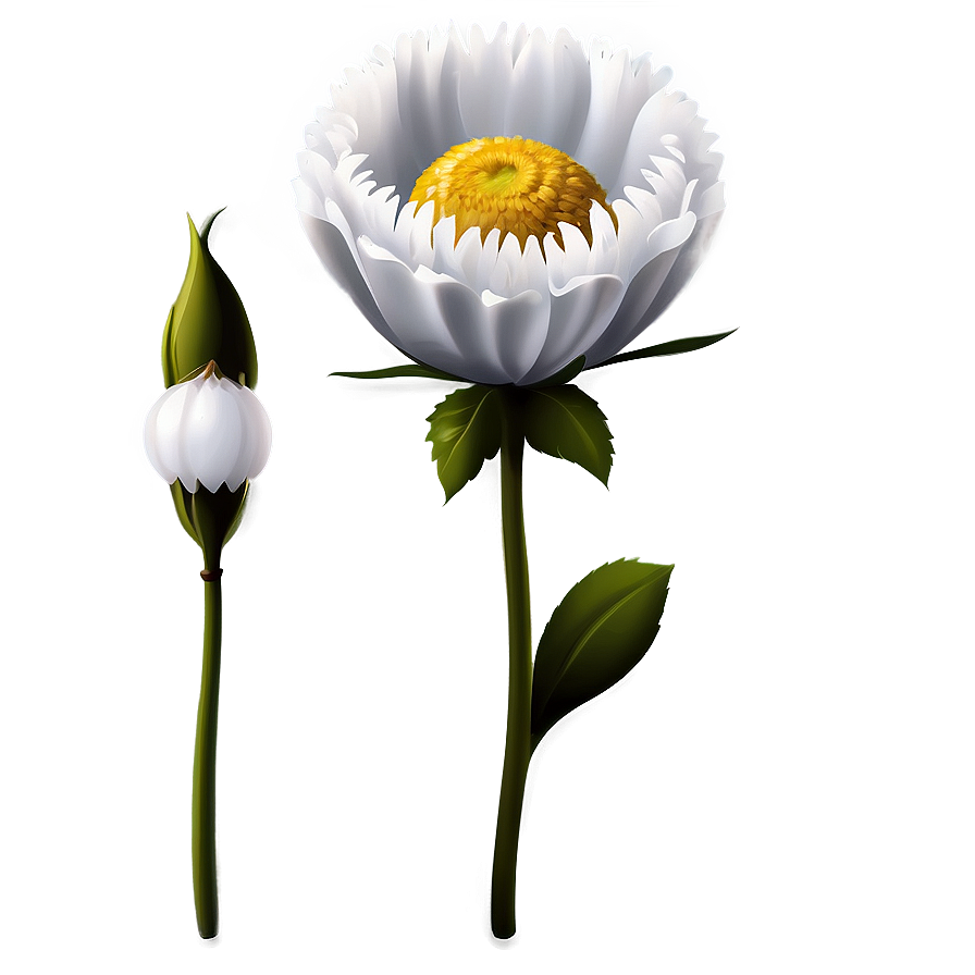 White Flower Clipart Png Gdl93 PNG Image