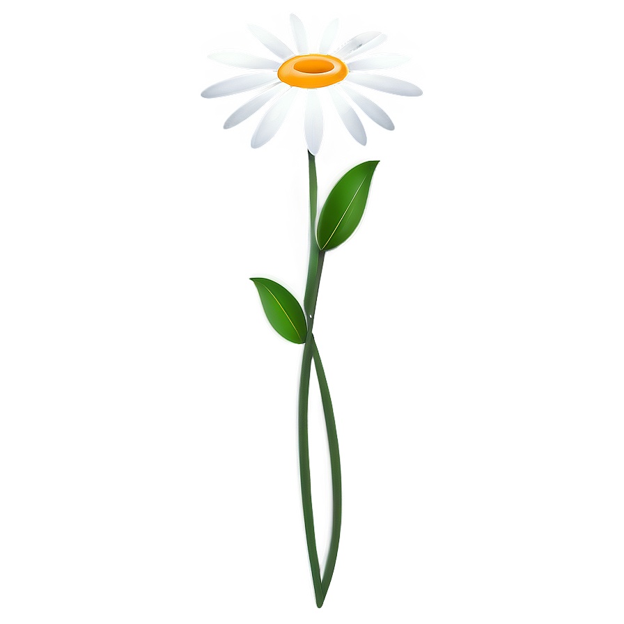 White Flower Illustration Png 05242024 PNG Image