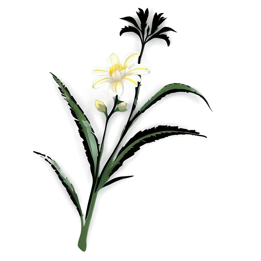 White Flower Silhouette Png 05242024 PNG Image