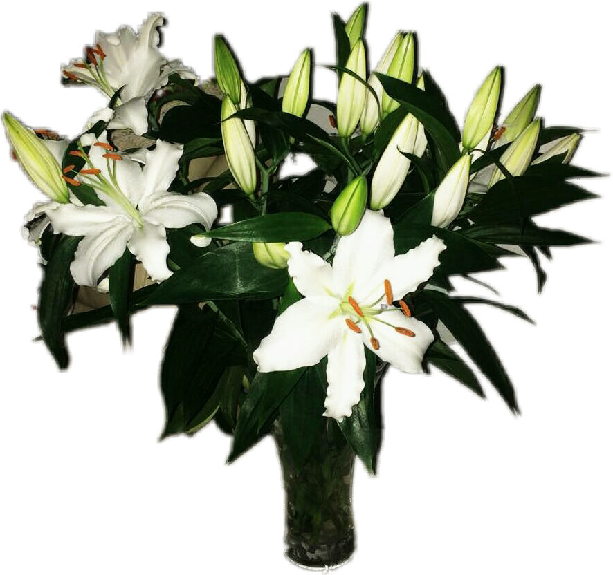 White Lily Bouquet Transparent Background PNG Image