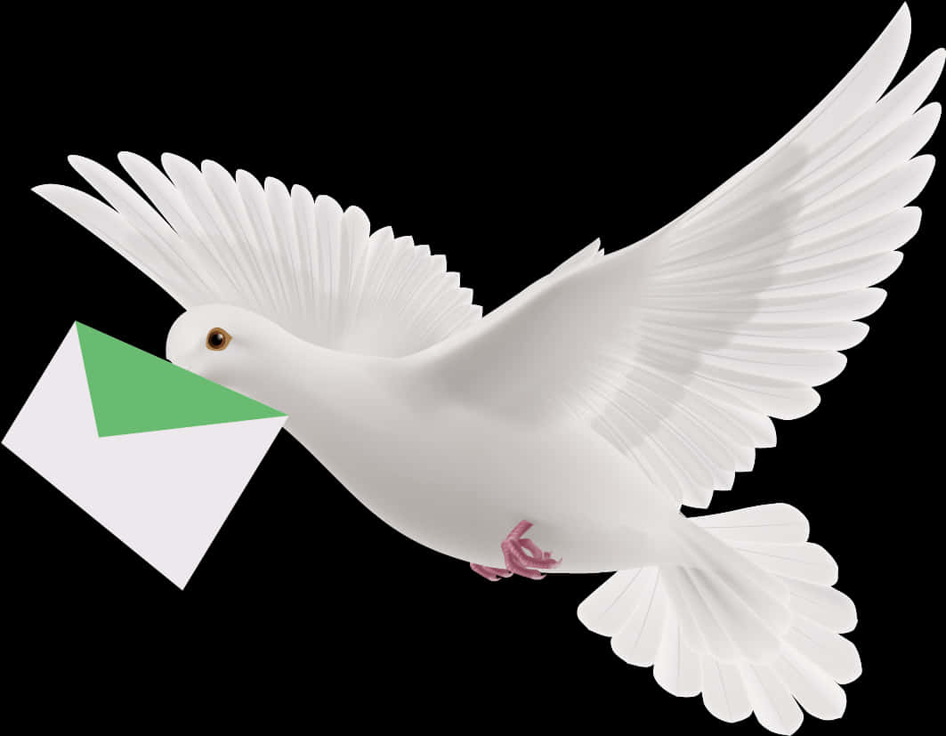 White Pigeon Carrying Letter PNG Image