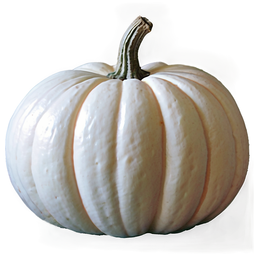 White Pumpkin Decor Idea Png 06212024 PNG Image